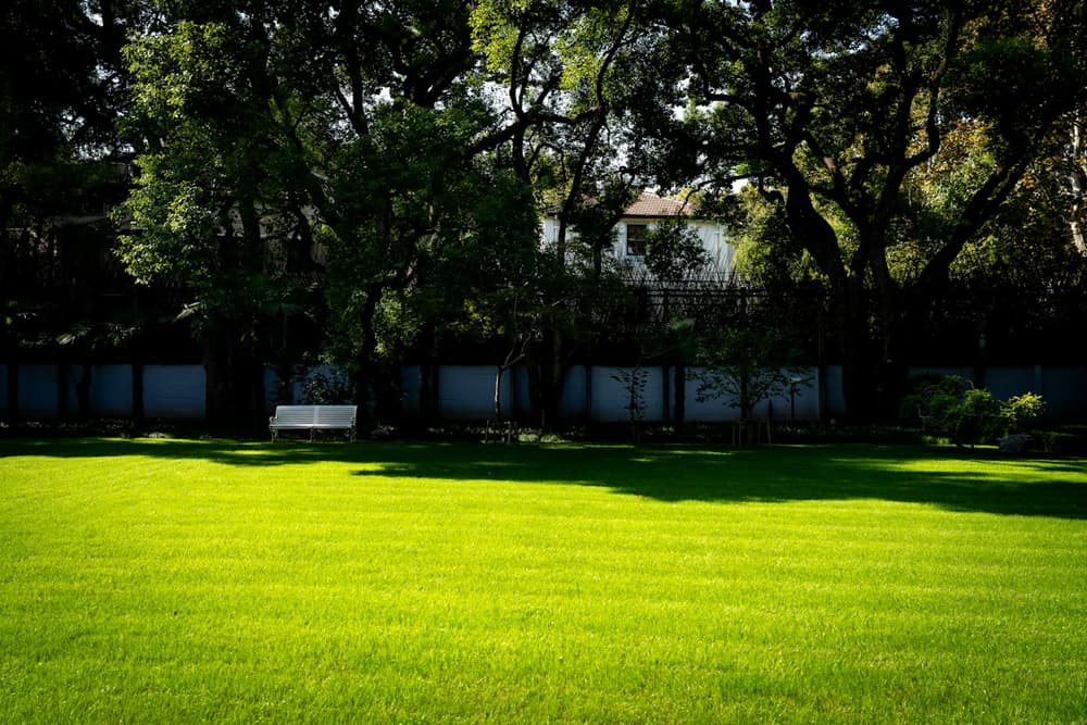 Striped backyard lawn with a white bench