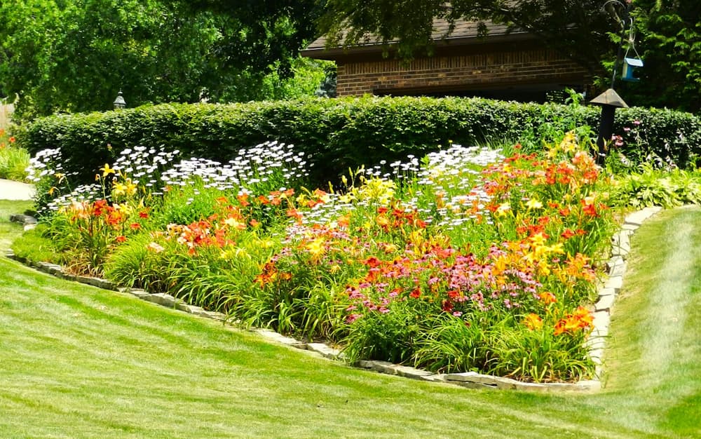 Crisp lawn edge along a flower bed on a striped lawn