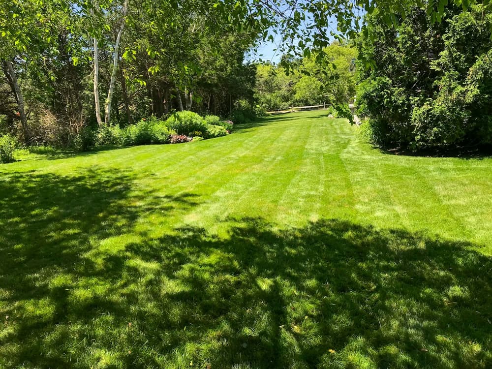 Freshly mowed lawn with even stripes