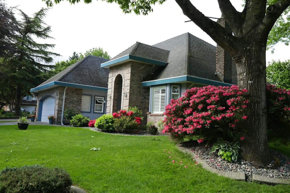 Tidy front beds and lawn in spring